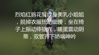 烈焰红唇花臂纹身美乳小姐姐，脱掉衣服扭动细腰，坐在椅子上振动棒插穴，跳蛋震动阴蒂，双管齐下娇喘呻吟