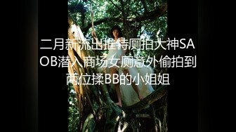 二月新流出推特厕拍大神SAOB潜入商场女厕意外偷拍到两位揉BB的小姐姐