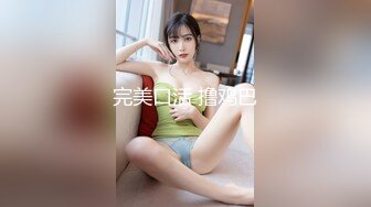 完美口活 撸鸡巴