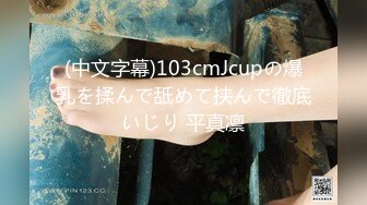 (中文字幕)103cmJcupの爆乳を揉んで舐めて挟んで徹底いじり 平真凛